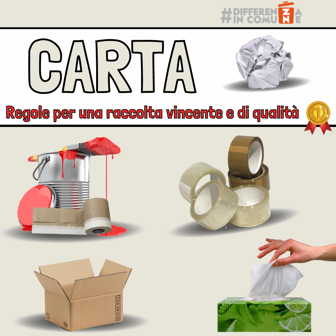 PARTE 2 - Le Regole Per Una Corretta Raccolta Differenziata Di Carta E ...