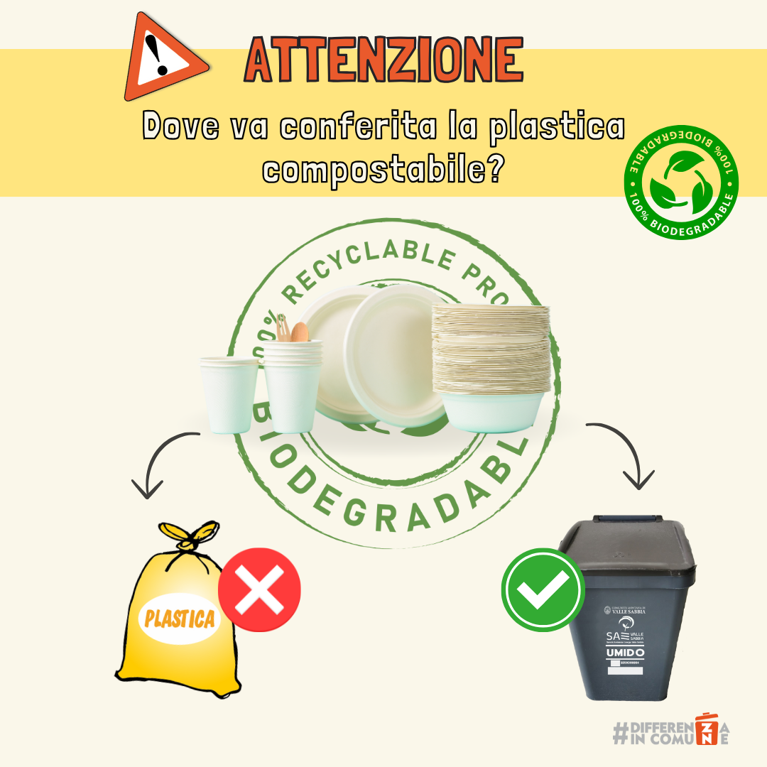 23102024 - Dove va conferita la plastica compostabile